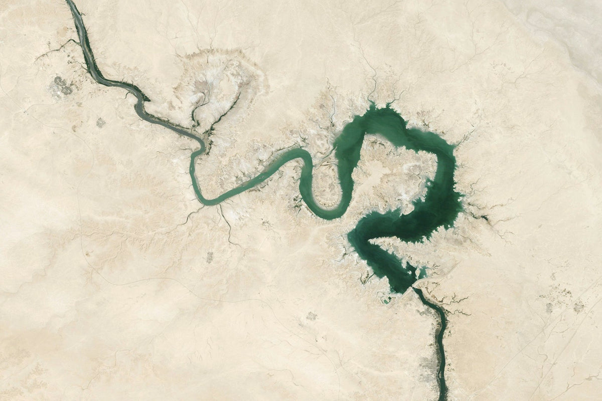 How Your Gut Shapes Your Mood and Well-Being