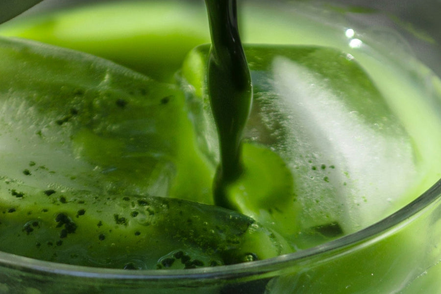 3 BIOGENA ONE Signature Drinks: These Recipes Add Variety to Your Daily ONE Routine