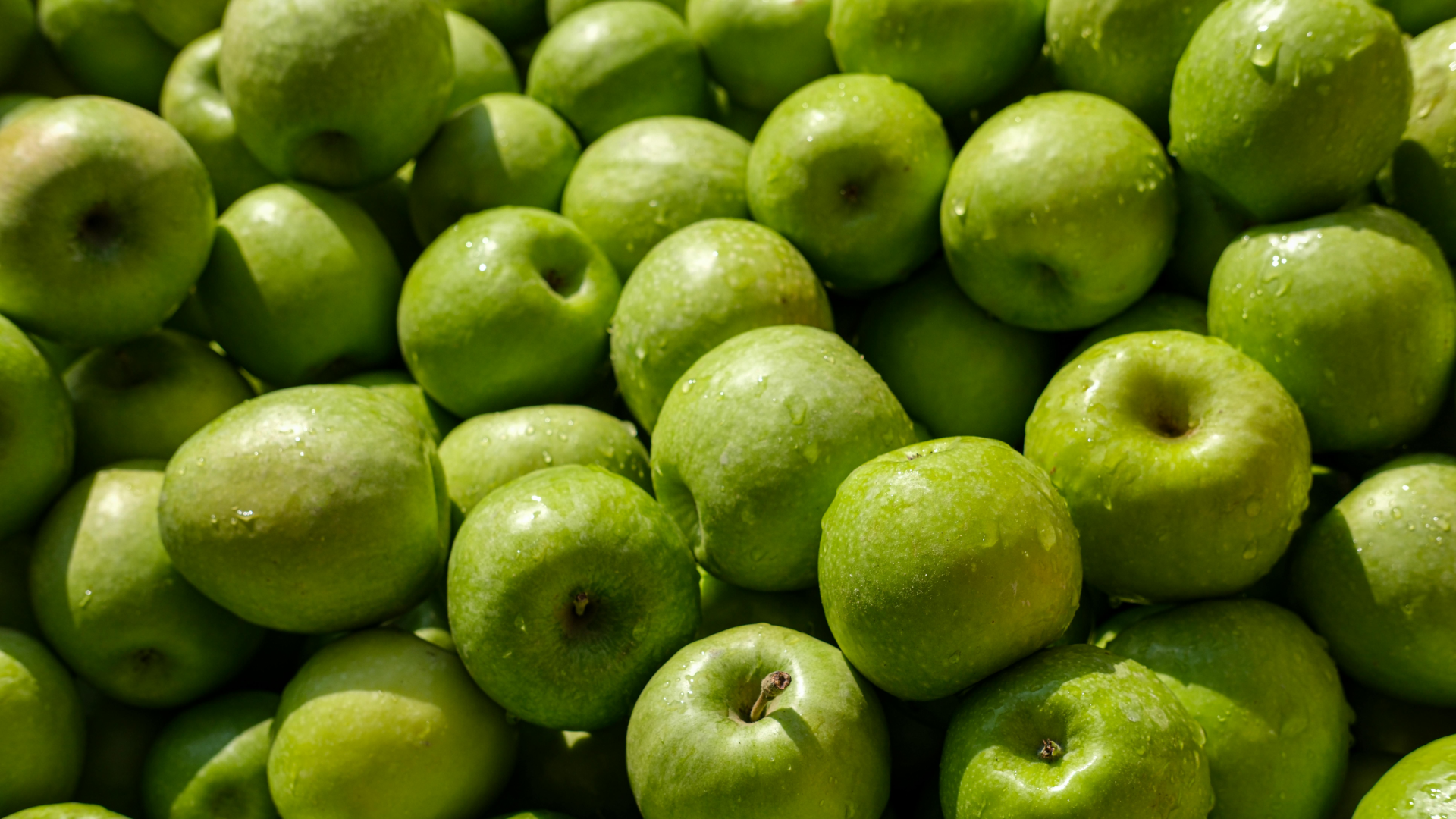 Vitamins and Minerals Against Fatigue – Which Ones Really Work?